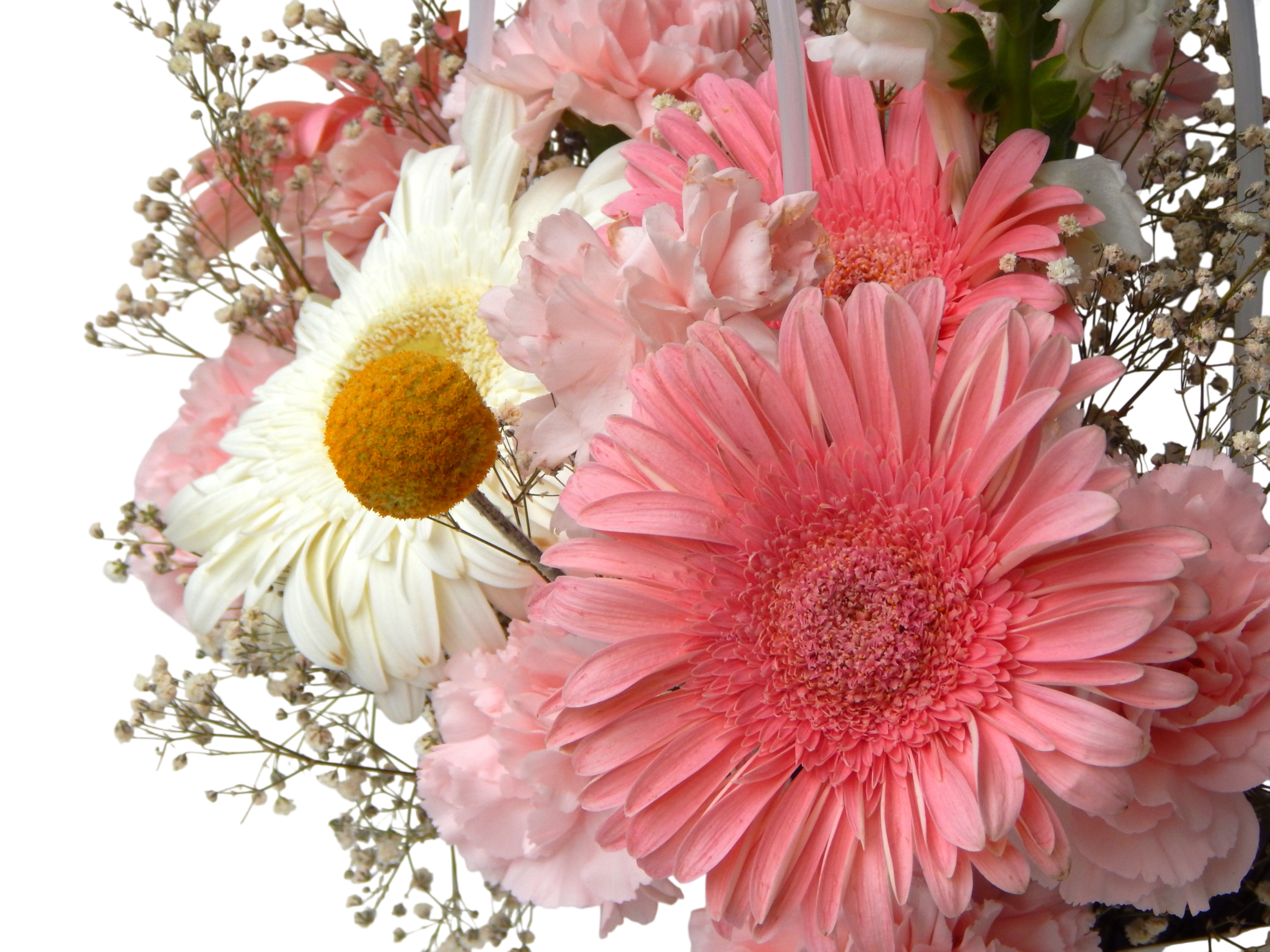 Diseño Floral